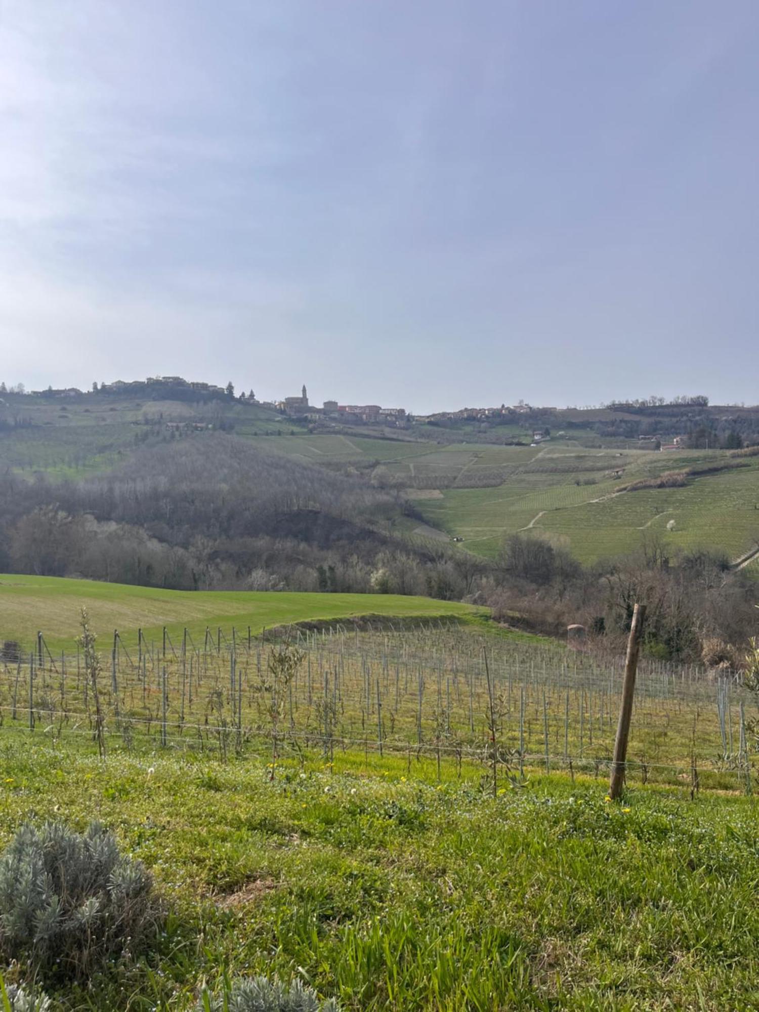 Diano dʼAlba Le Cornici - Cascina Di Charme酒店 外观 照片